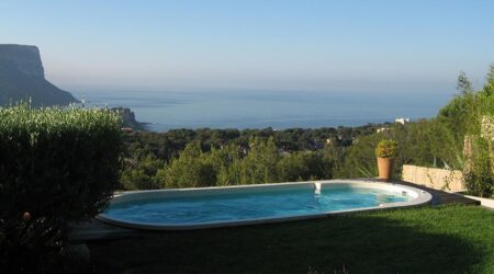 Un spa de nage est encastré dans un jardin et offre une vue sur la mer.