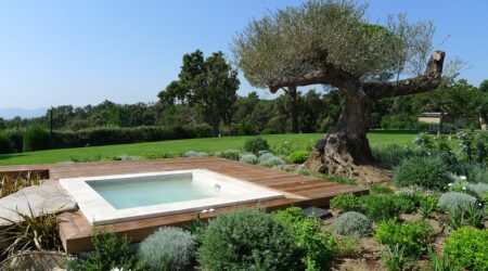 Un spa est encastré dans une terrasse en bois. Il est placé dans un jardin paysagé.