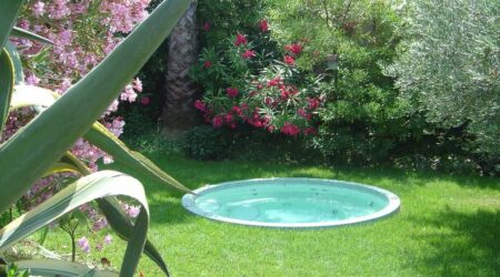 Peut-on arroser le gazon et les plantes avec l’eau du spa ?